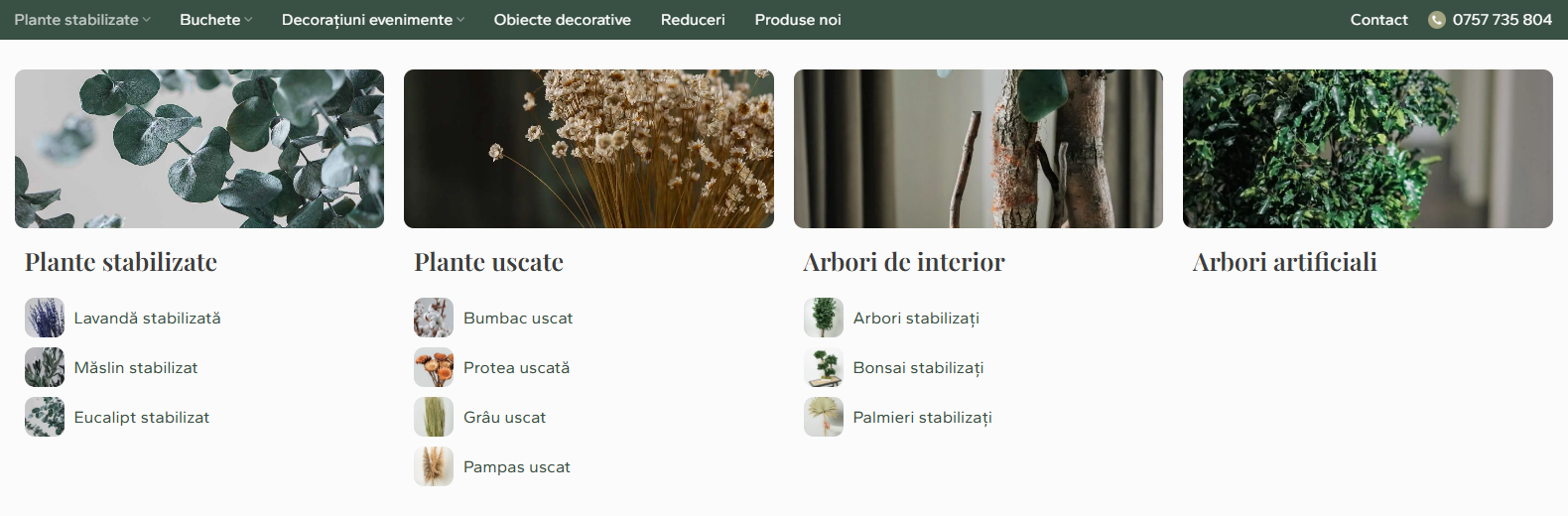 greenest craft megamenu